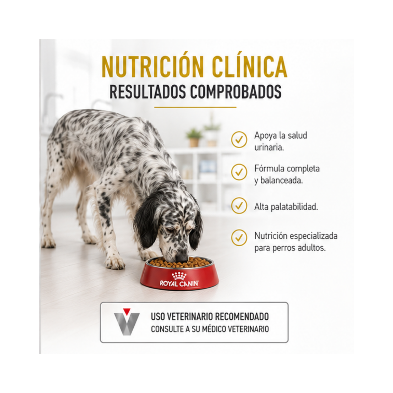 Royal Canin Urinary Perro S/o Saco 10 Kilo-2