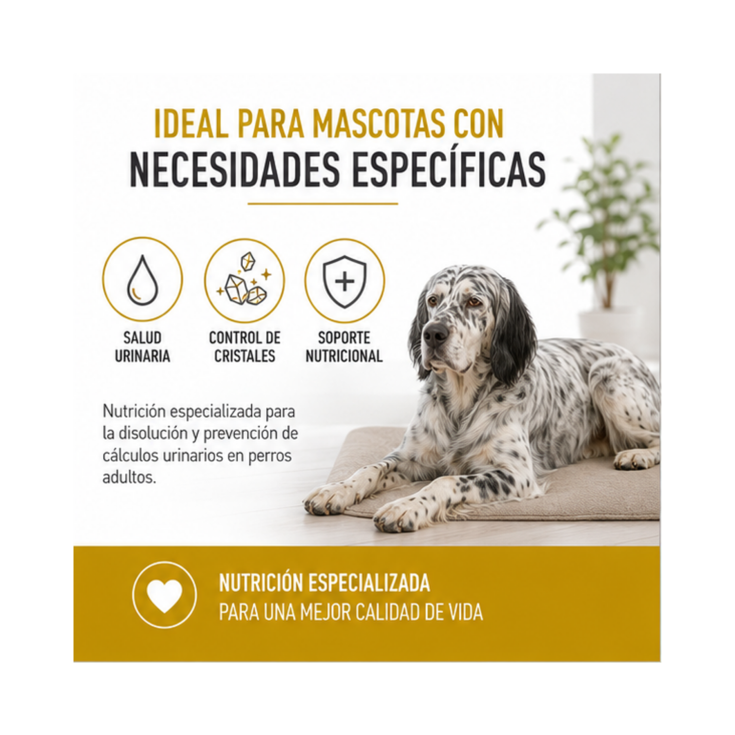 Royal Canin Urinary Perro S/o Saco 10 Kilo-3