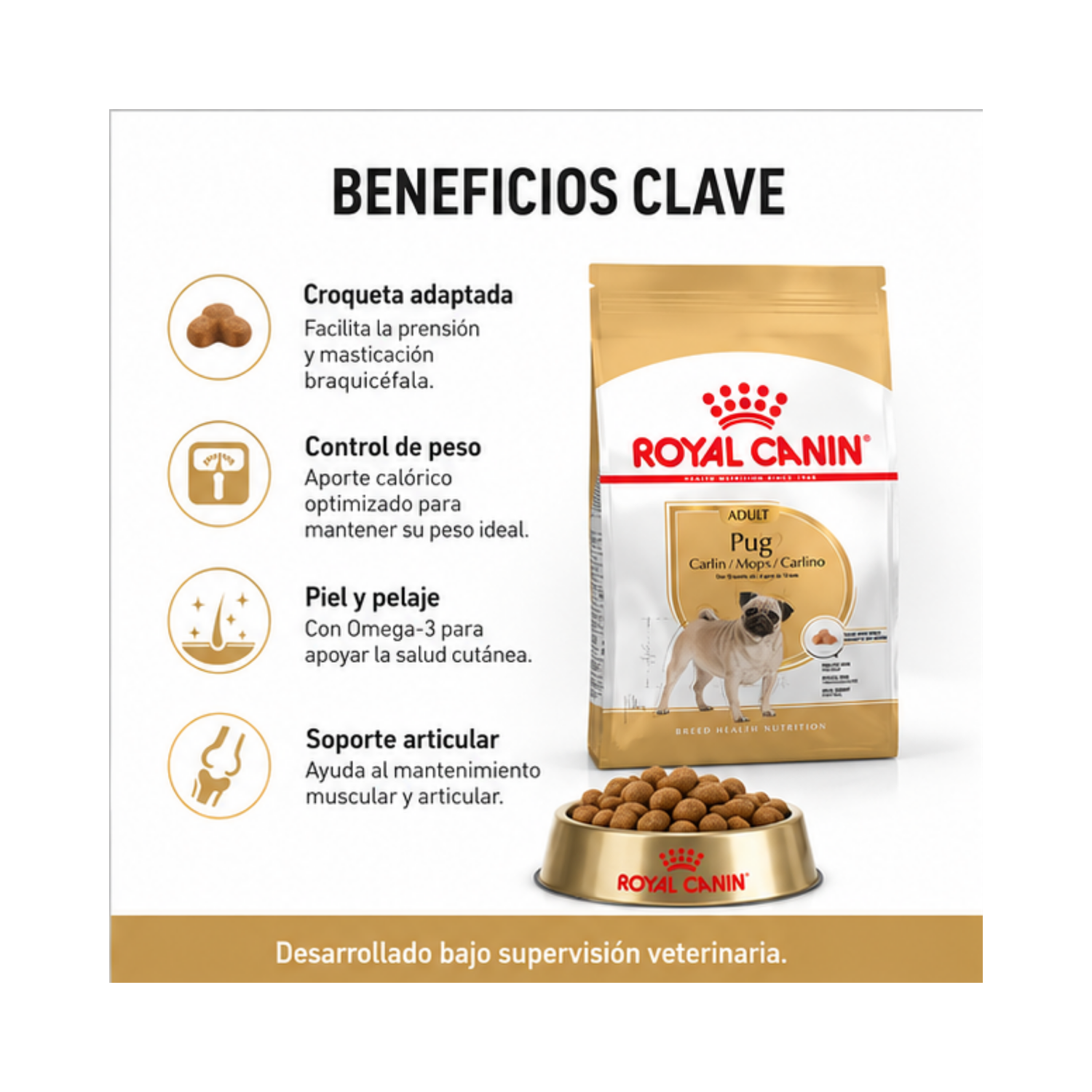 Royal Canin Pug Adulto Perro 2,5 kg-2