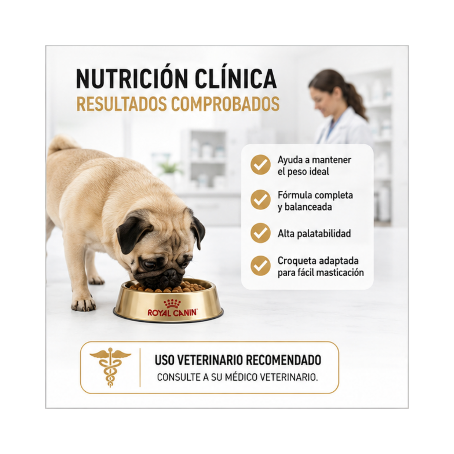 Royal Canin Pug Adulto Perro 2,5 kg-3