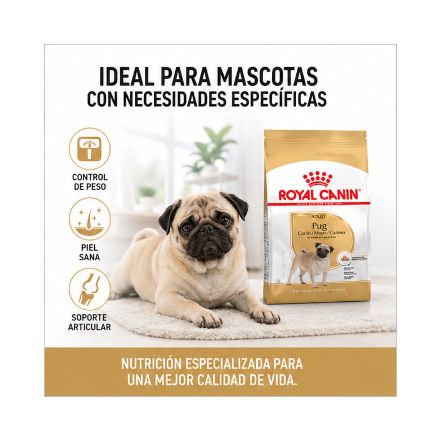 Royal Canin Pug Adulto Perro 2,5 kg-4