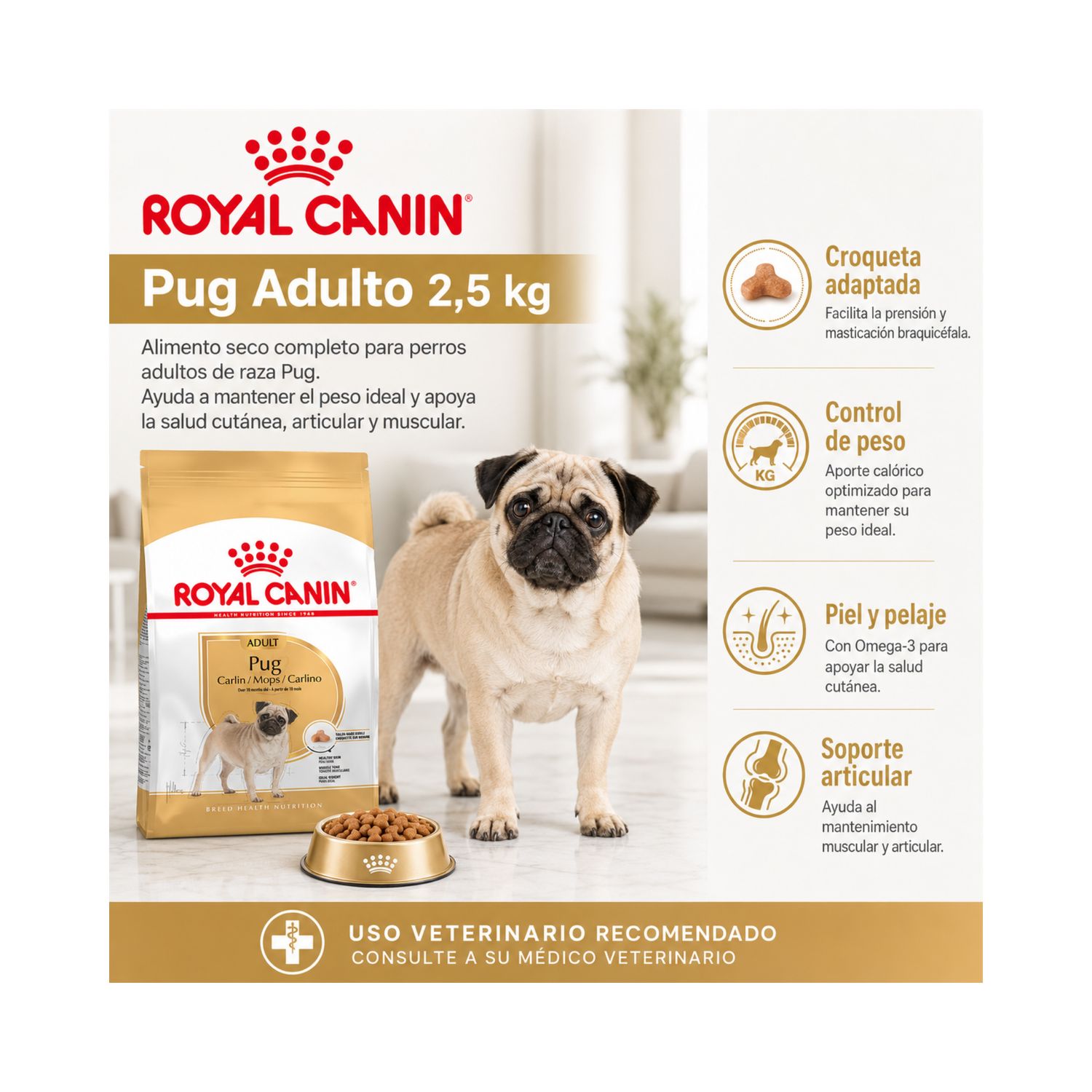 Royal Canin Pug Adulto Perro 2,5 kg-5