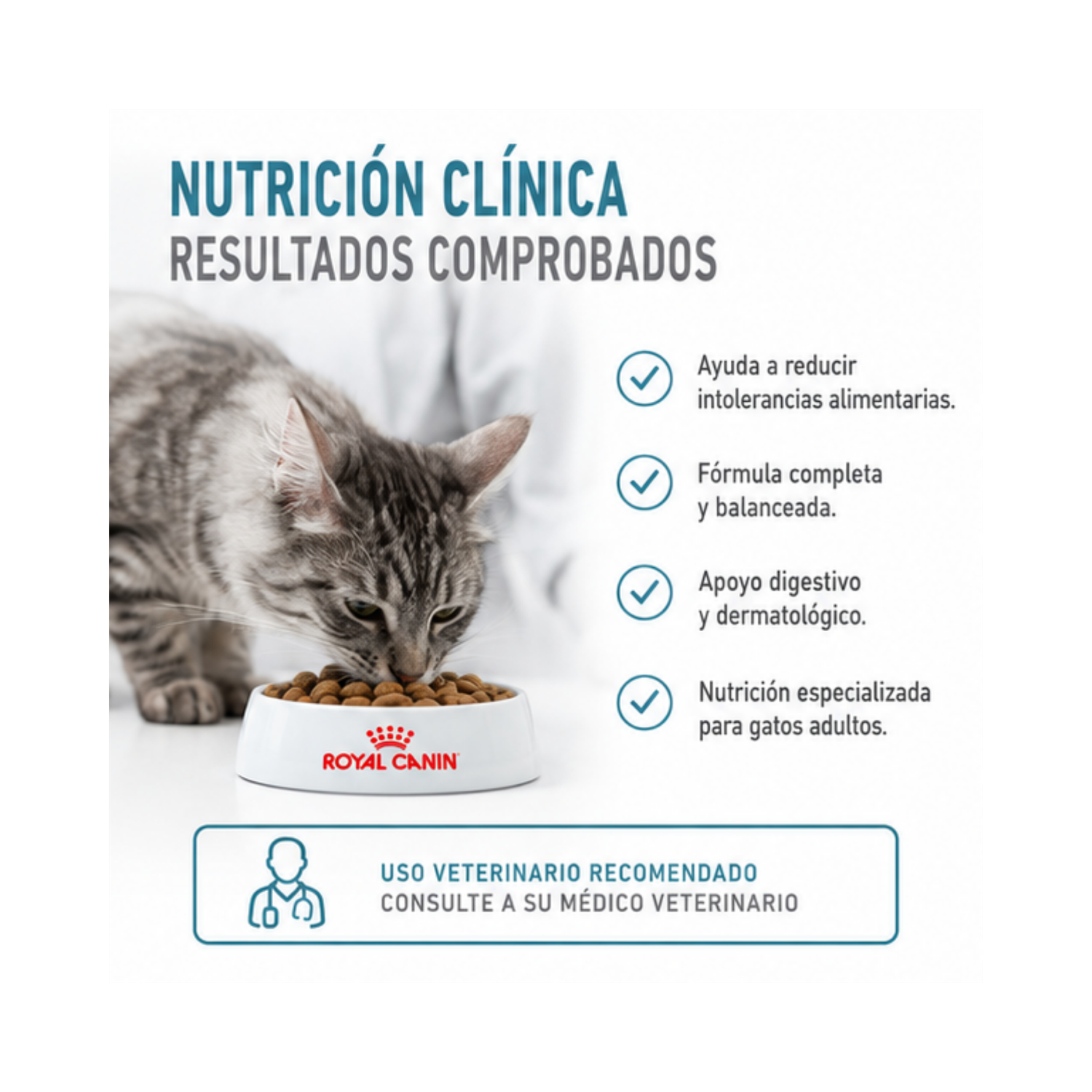 Royal Canin Hypoallergenic Feline Gato 1.5kg | Alergias-2