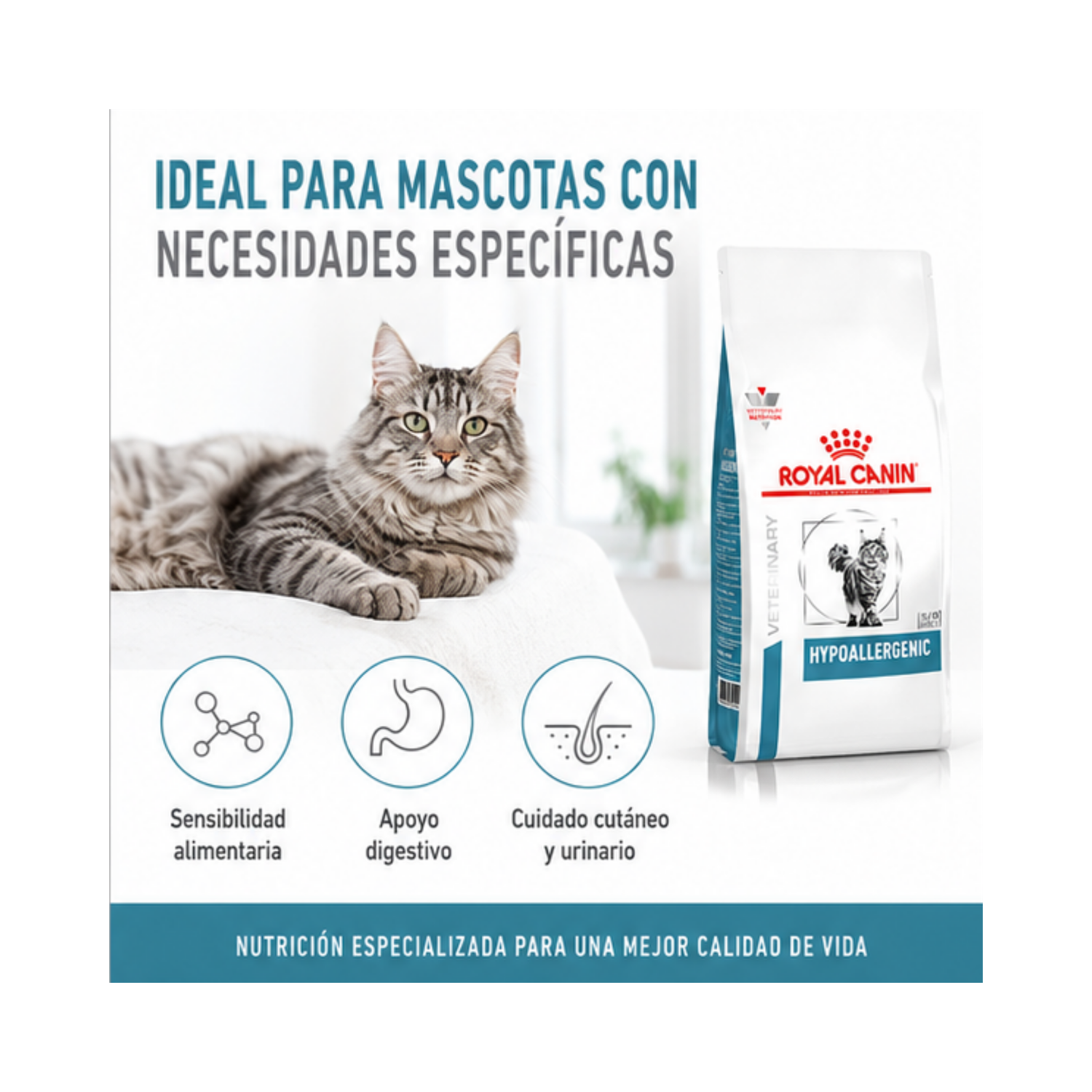 Royal Canin Hypoallergenic Feline Gato 1.5kg | Alergias-3