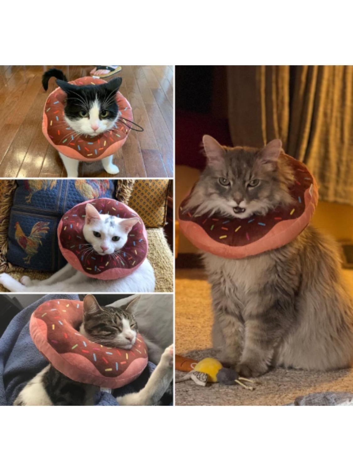 Collar Dona Para Mascotas Anti-lamido Talla M-5