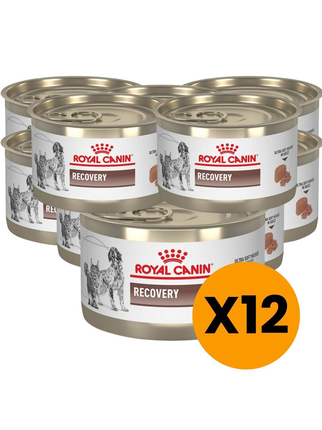 Alimento Royal Canin Recovery lata 145g - Pack X12-0