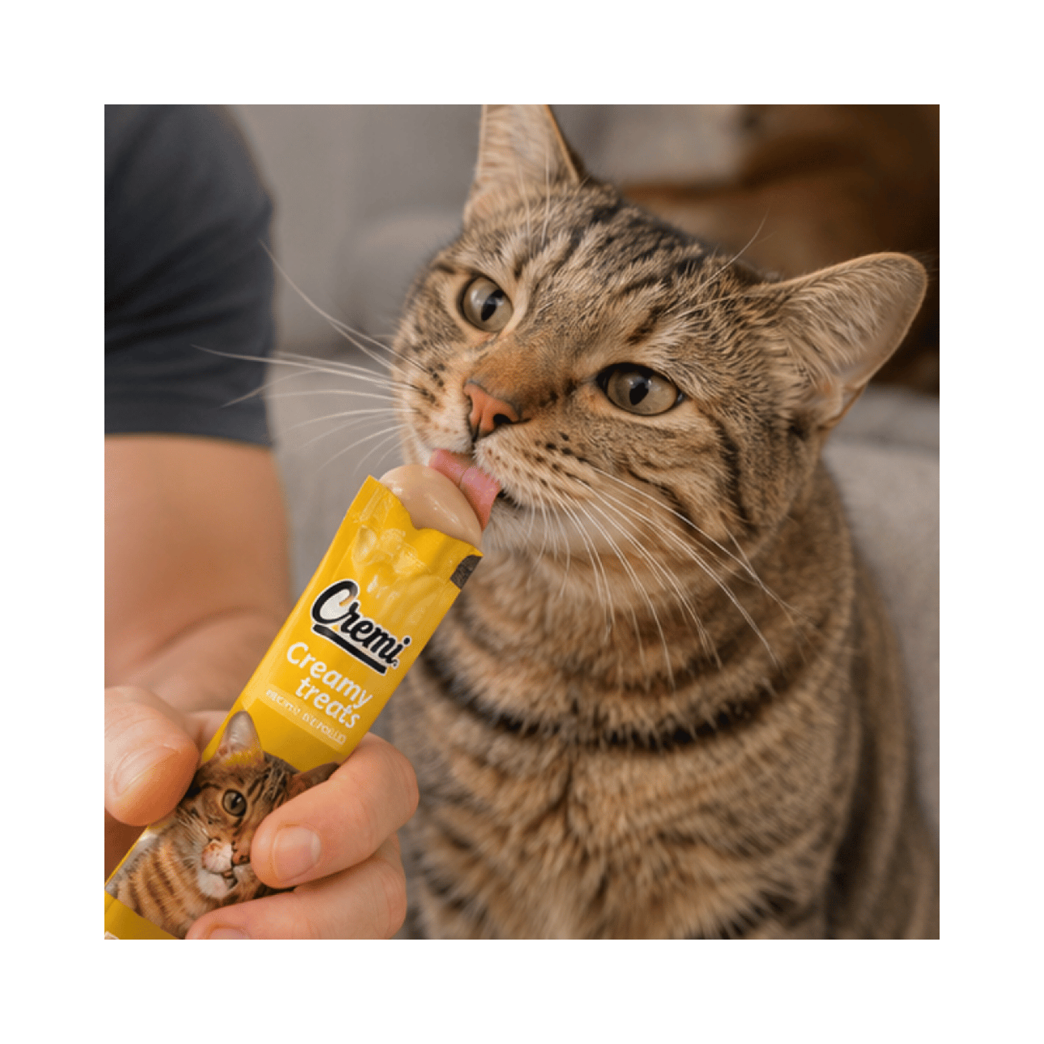 Snack Cremi Pollo Gato Naturalistic 5 Sachet 60g-4