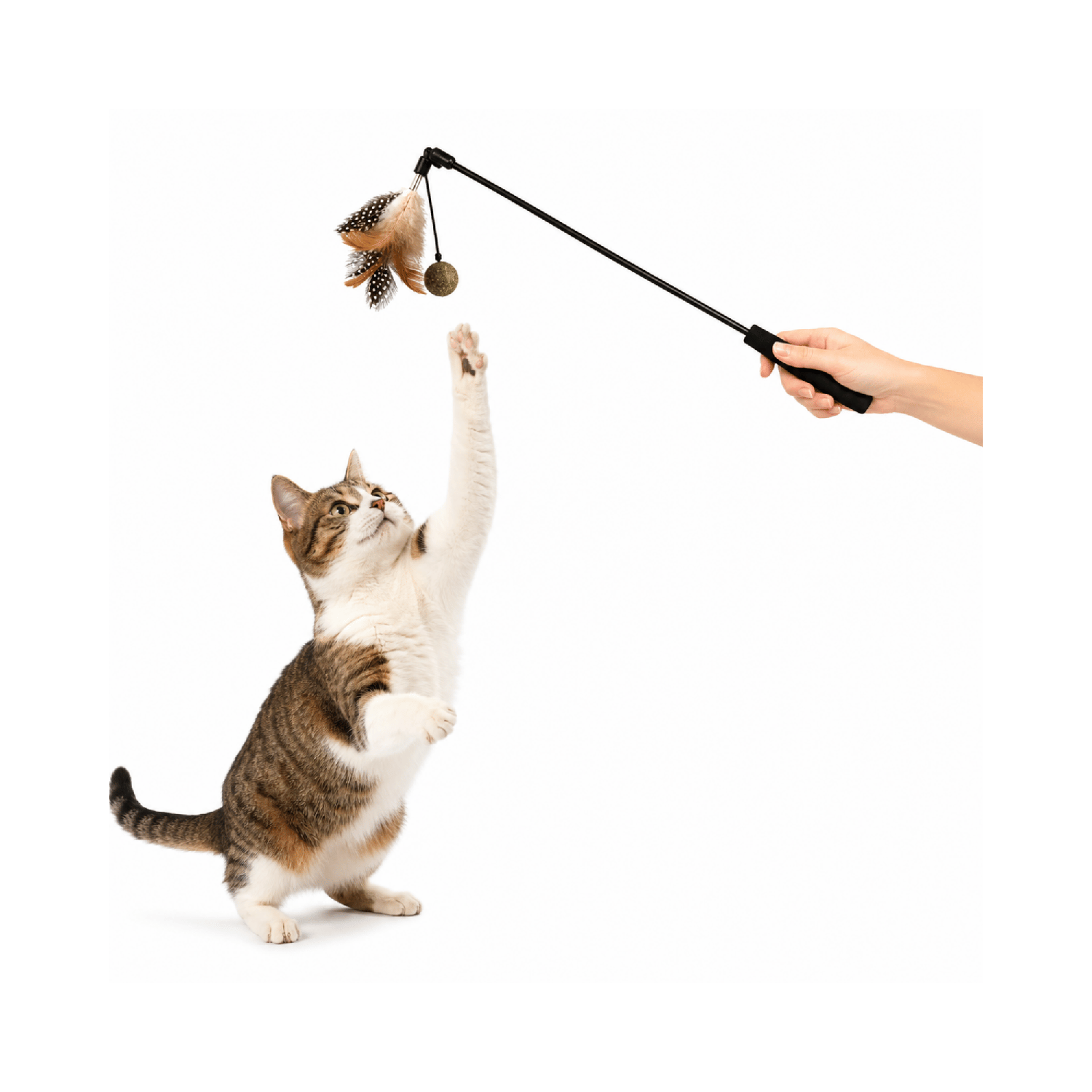 Varilla Pluma Y Bola Catnip Para Gato 50 Cm-0