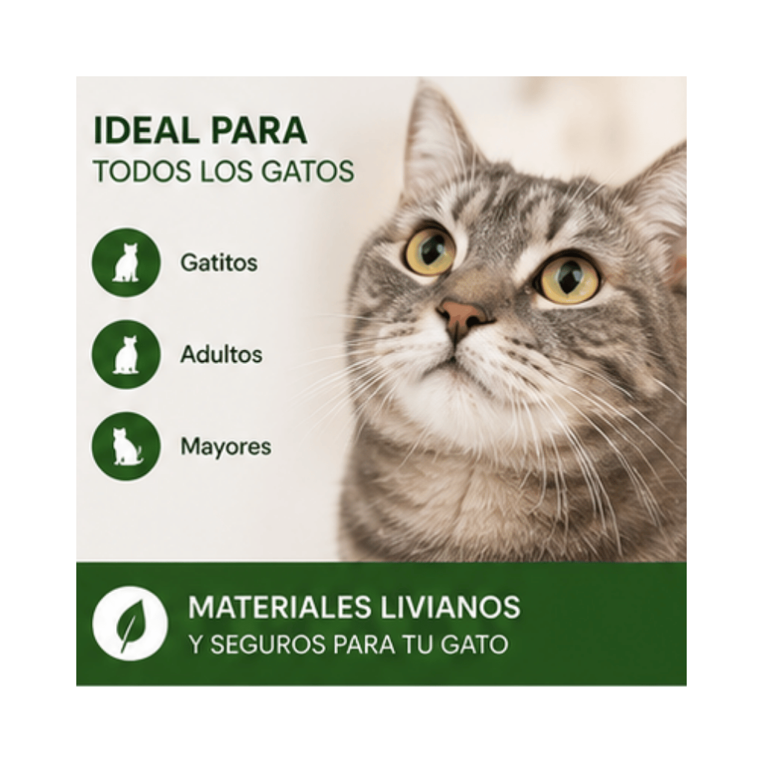 Varilla Pluma Y Bola Catnip Para Gato 50 Cm-5