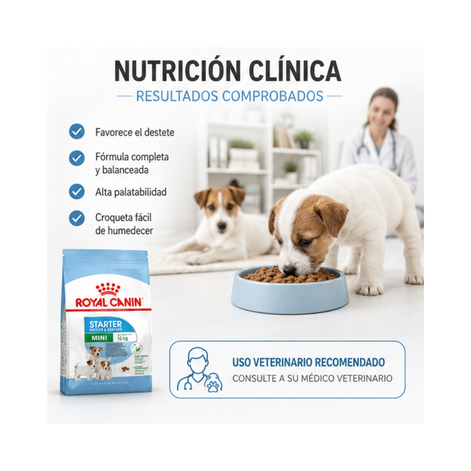 Royal Canin Perro Mini Starter 3kg-3