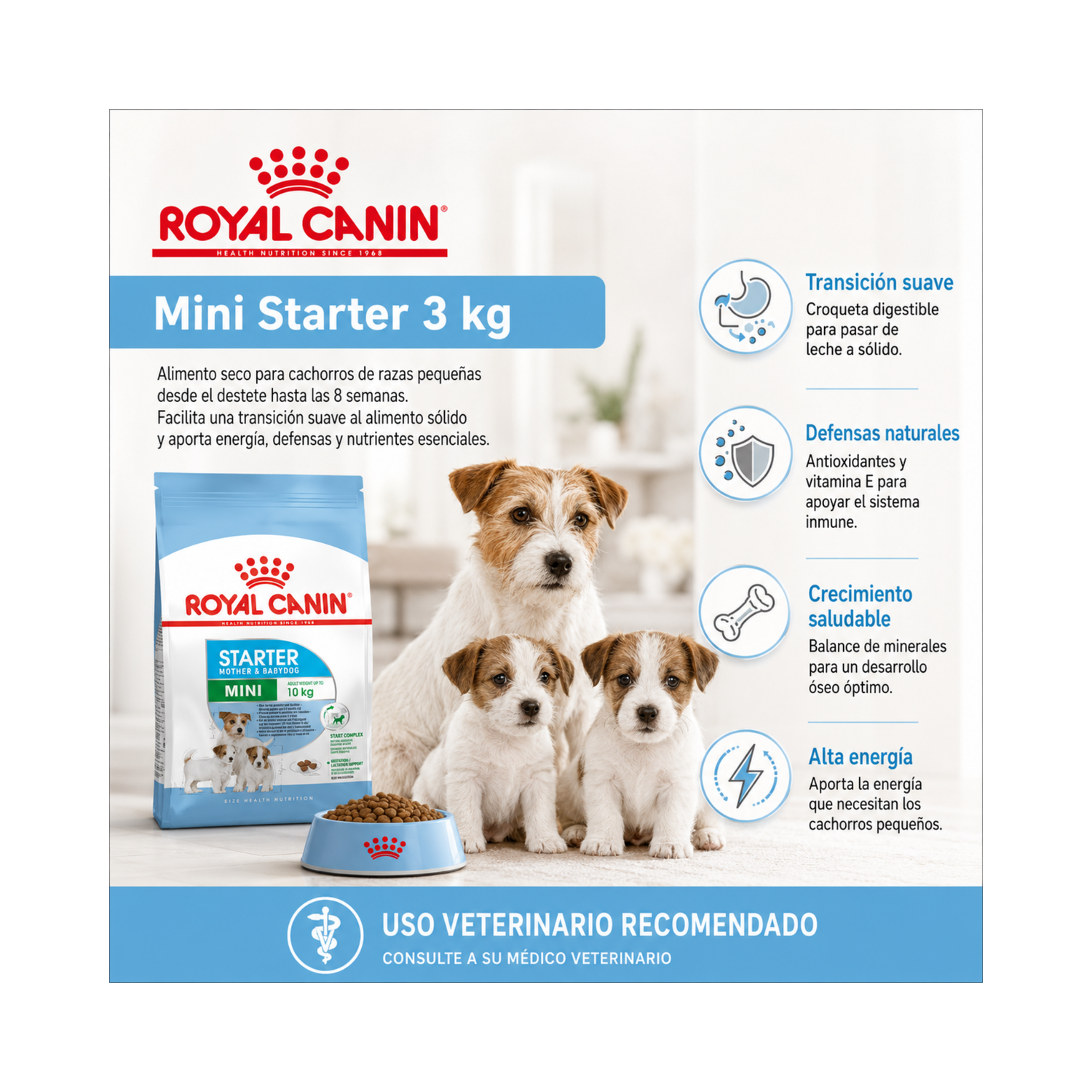 Royal Canin Perro Mini Starter 3kg-5