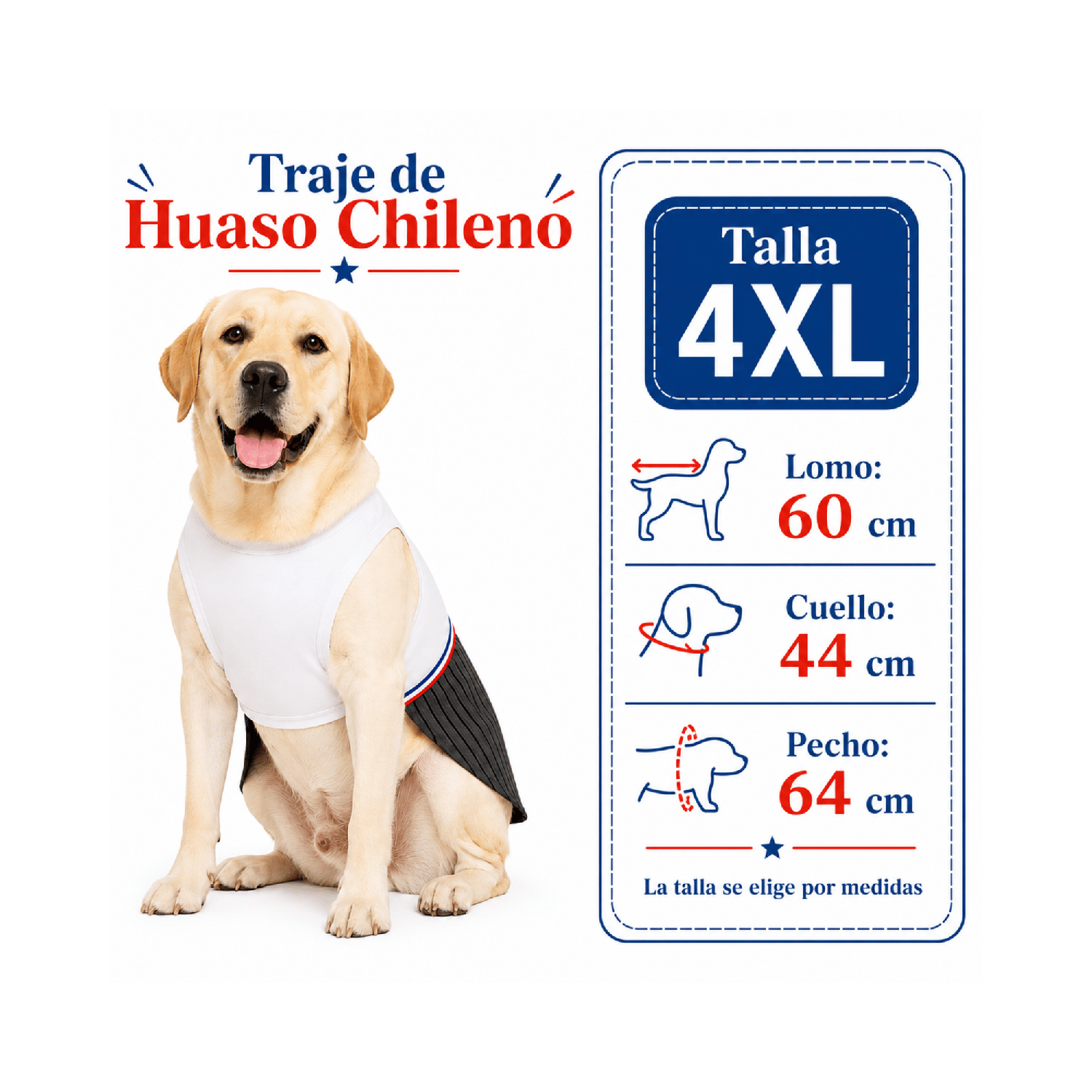Traje de Huaso Chileno para Perro Talla 4XL-2