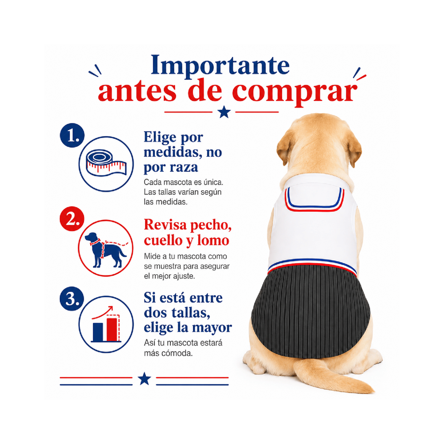 Traje de Huaso Chileno para Perro Talla 4XL-4