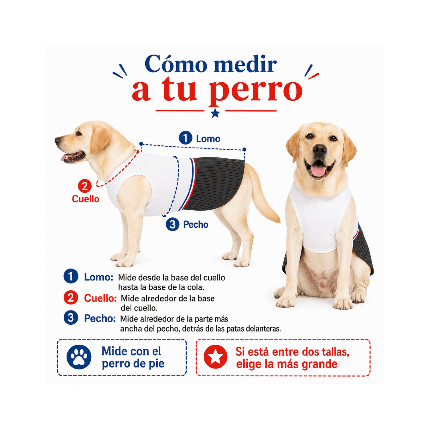 Traje de Huaso Chileno para Perro Talla 4XL-6