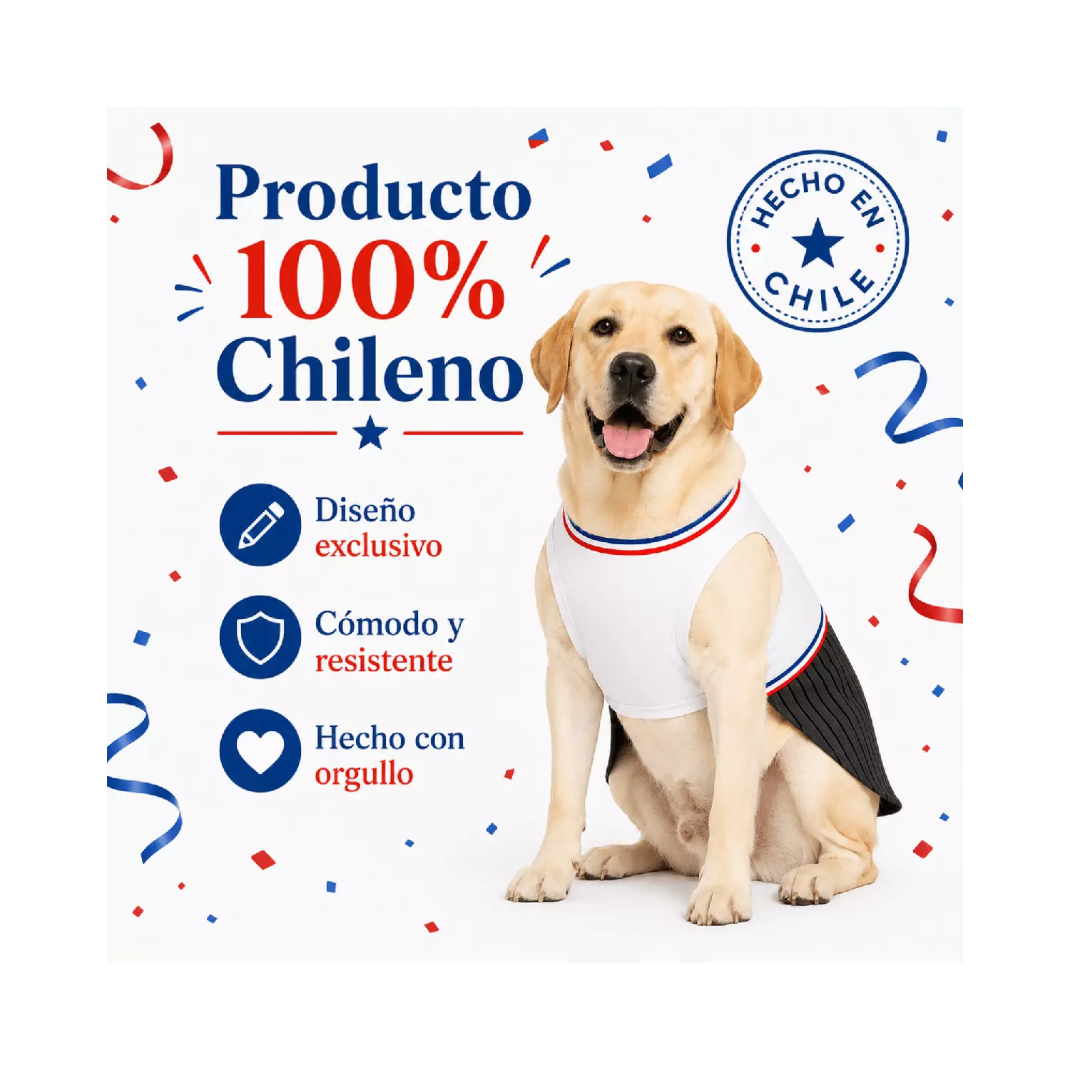 Traje de Huaso Chileno para Perro Talla 4XL-7