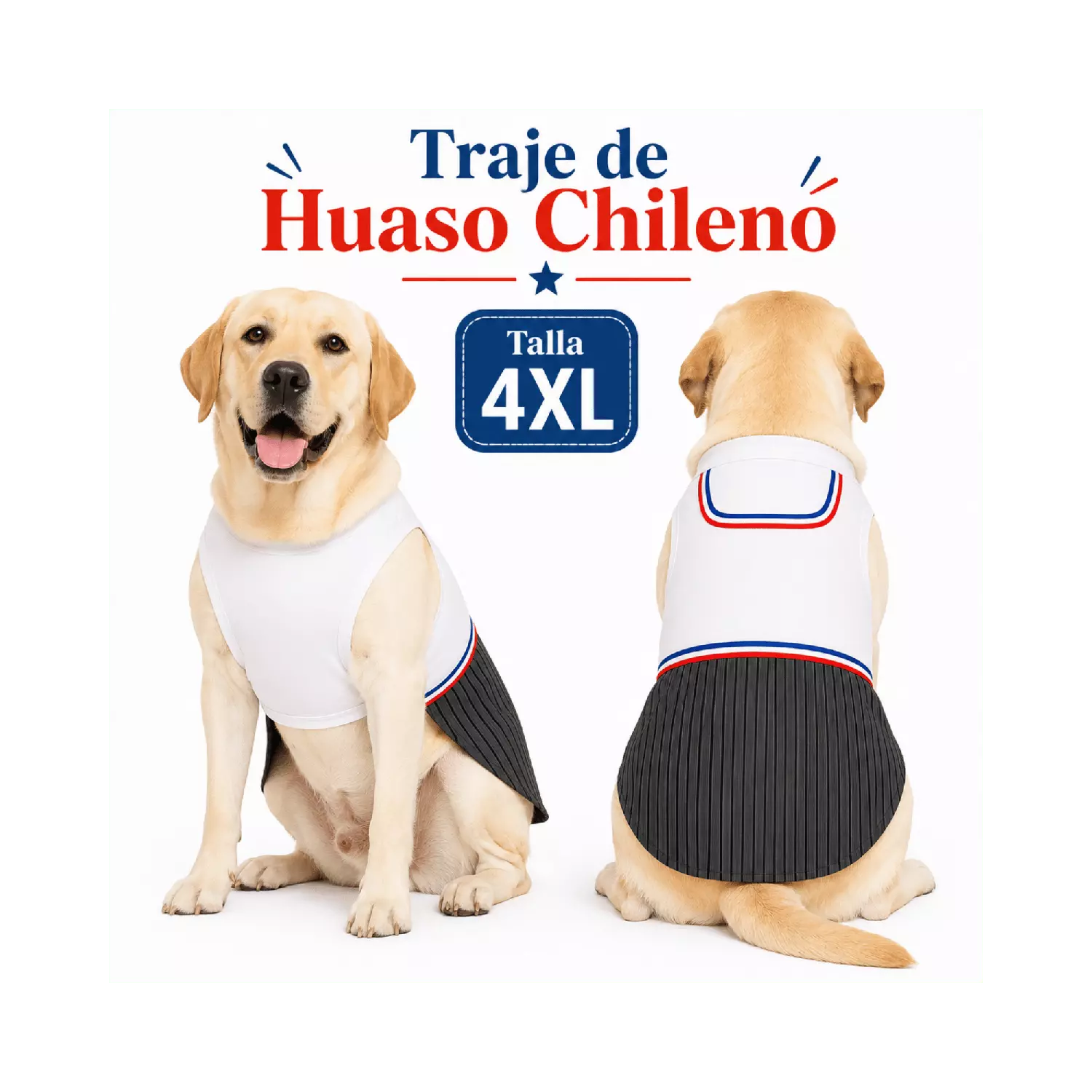 Traje de Huaso Chileno para Perro Talla 4XL-8