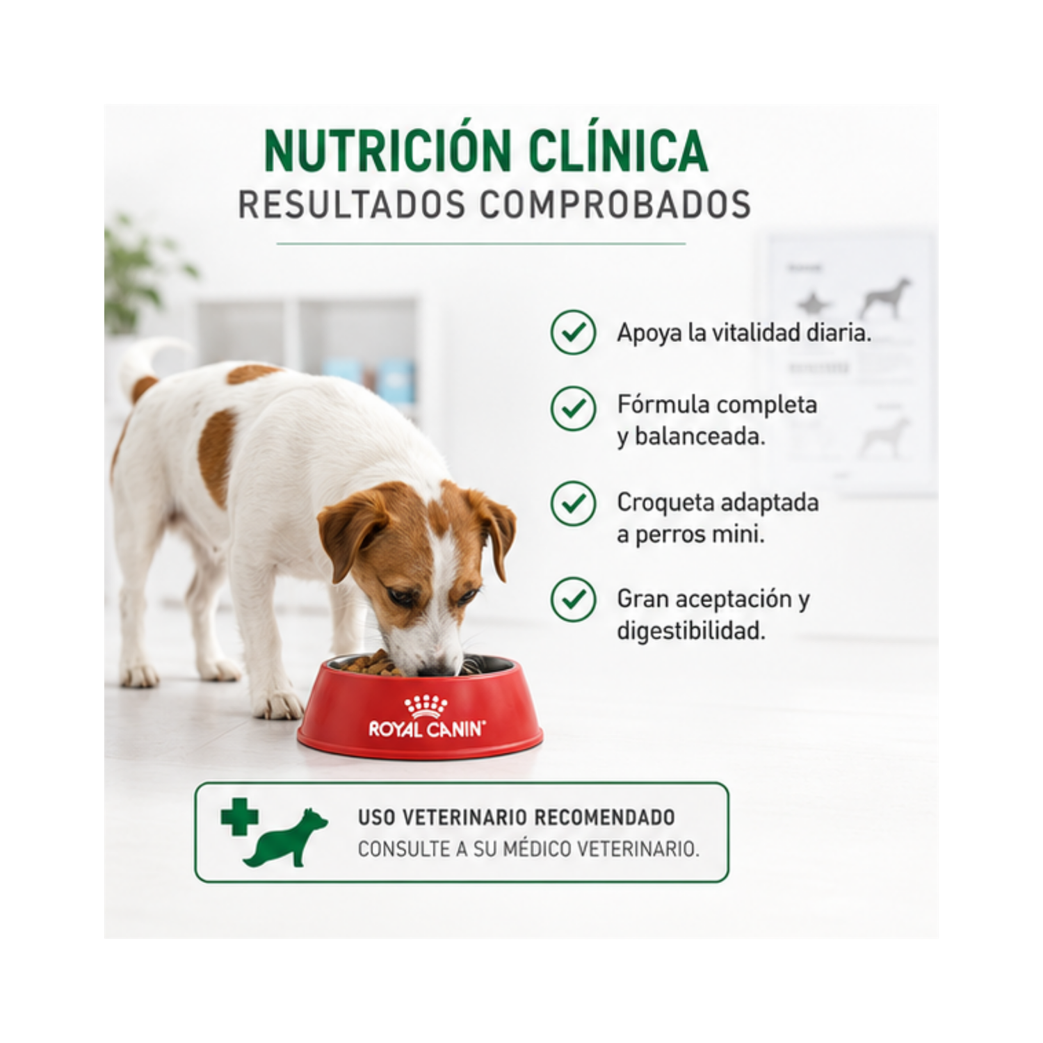 Royal Canin Mini Adulto Saco 1 Kilo-2