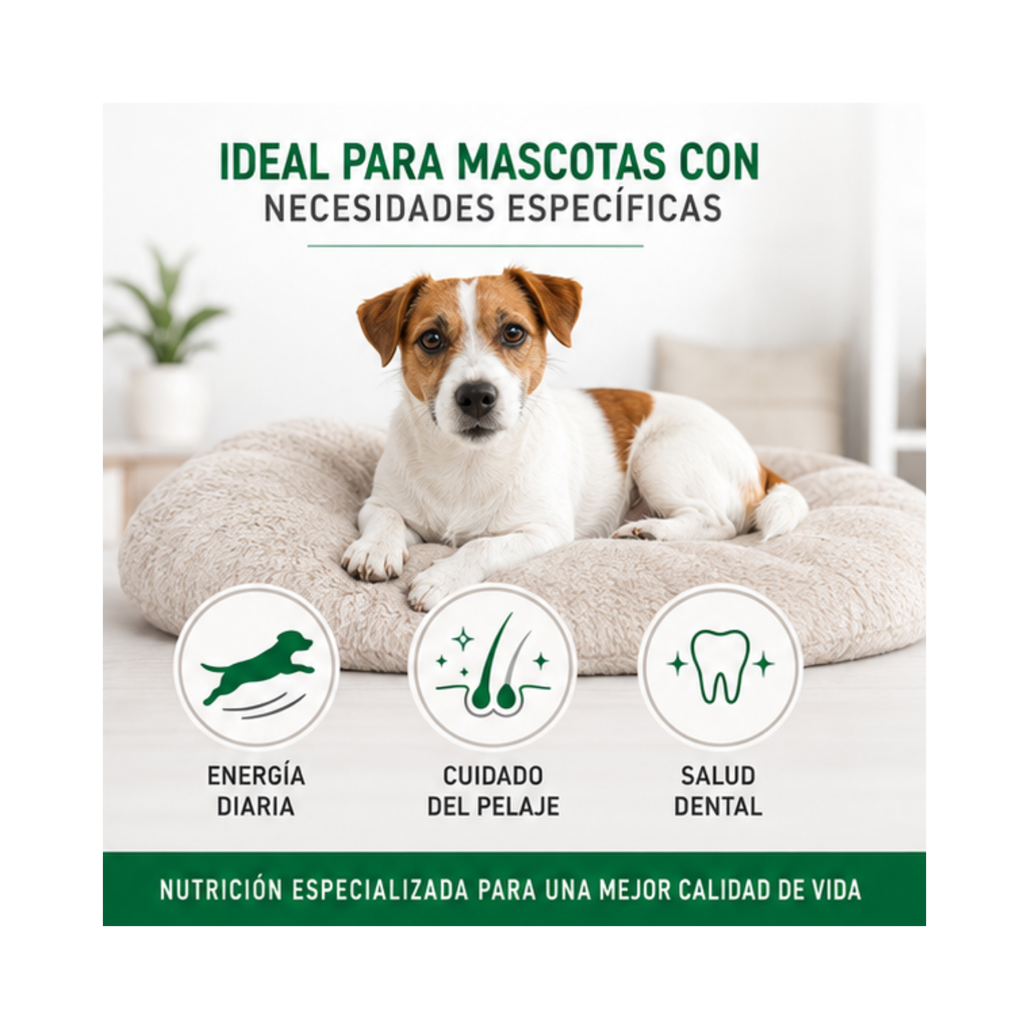 Royal Canin Mini Adulto Saco 1 Kilo-3