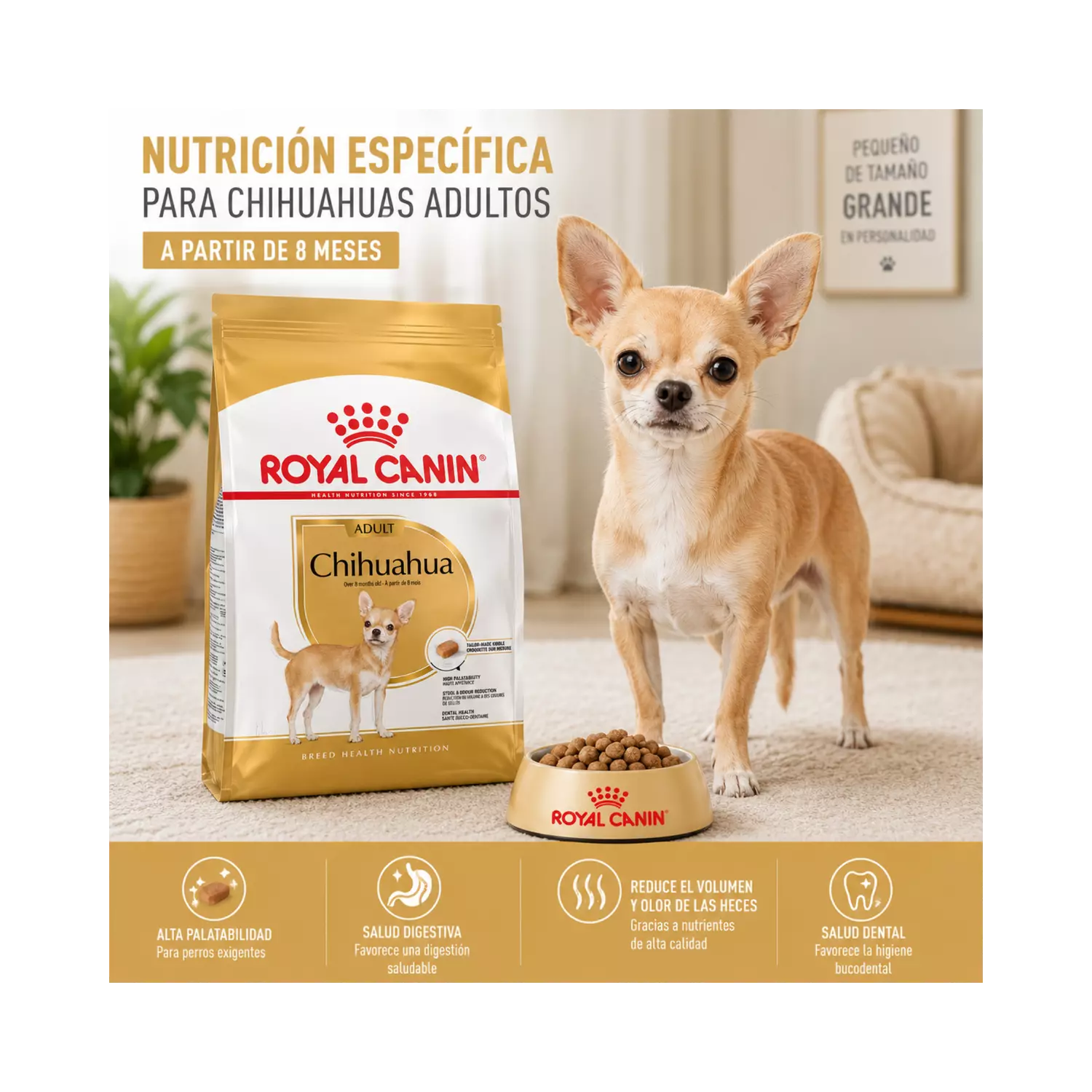 Imagen de producto
