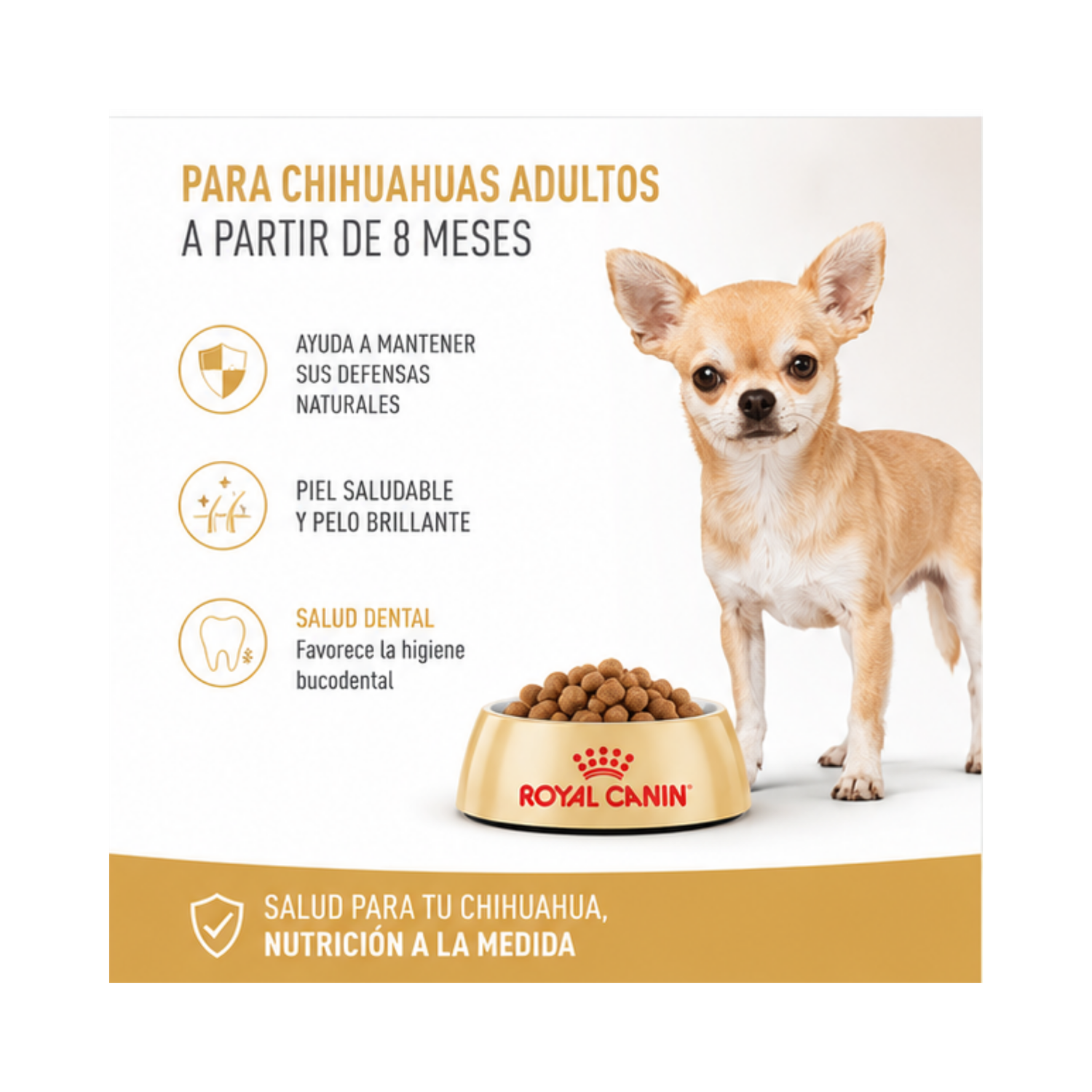 Royal Canin Perro Raza Chihuahua Adulto 1kg-2