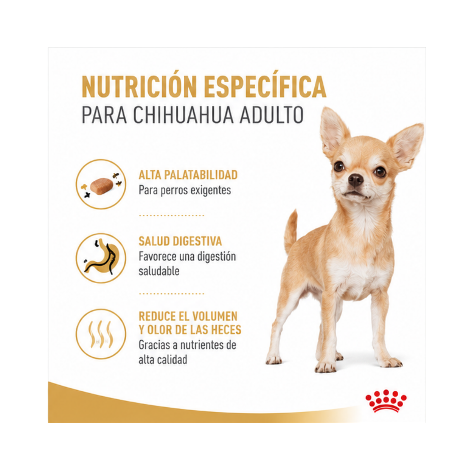 Royal Canin Perro Raza Chihuahua Adulto 1kg-4