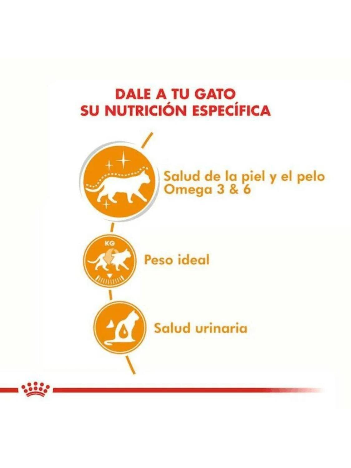 Royal Canin Hair & Skin Care Gato 85g | Pack 12 Pouch-5