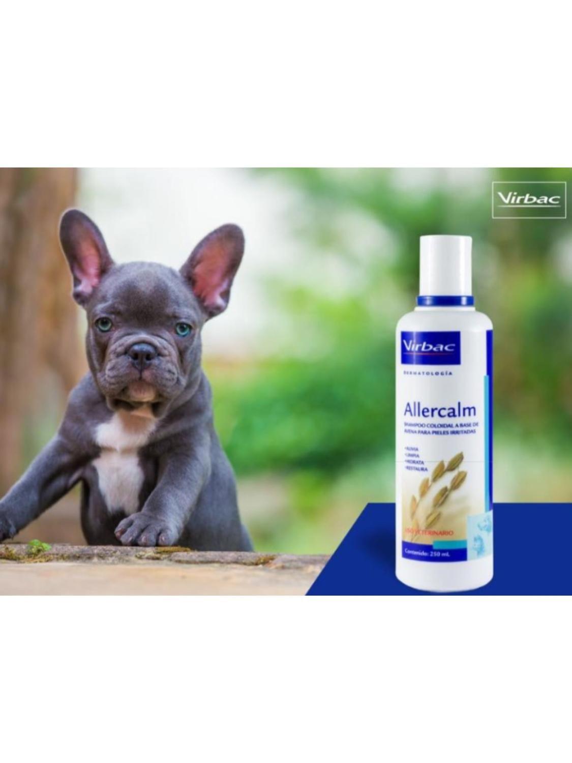 Shampoo Allercalm hipoalergénico y calmante Medicado 250 Ml - Virbac-2