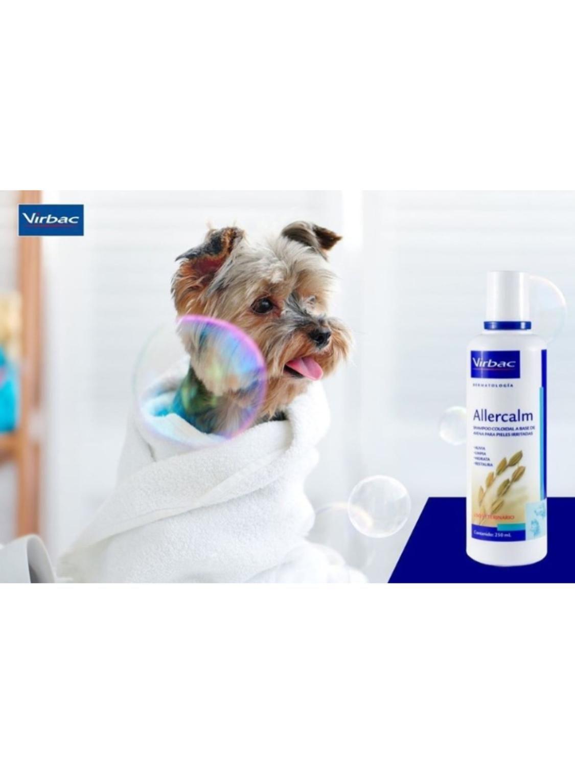 Shampoo Allercalm hipoalergénico y calmante Medicado 250 Ml - Virbac-3