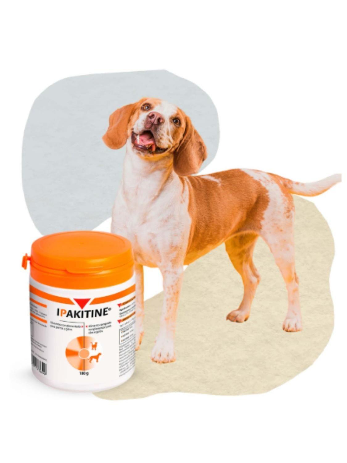 Ipakitine 180 g Perros y Gatos | Apoyo Renal Crónico-2
