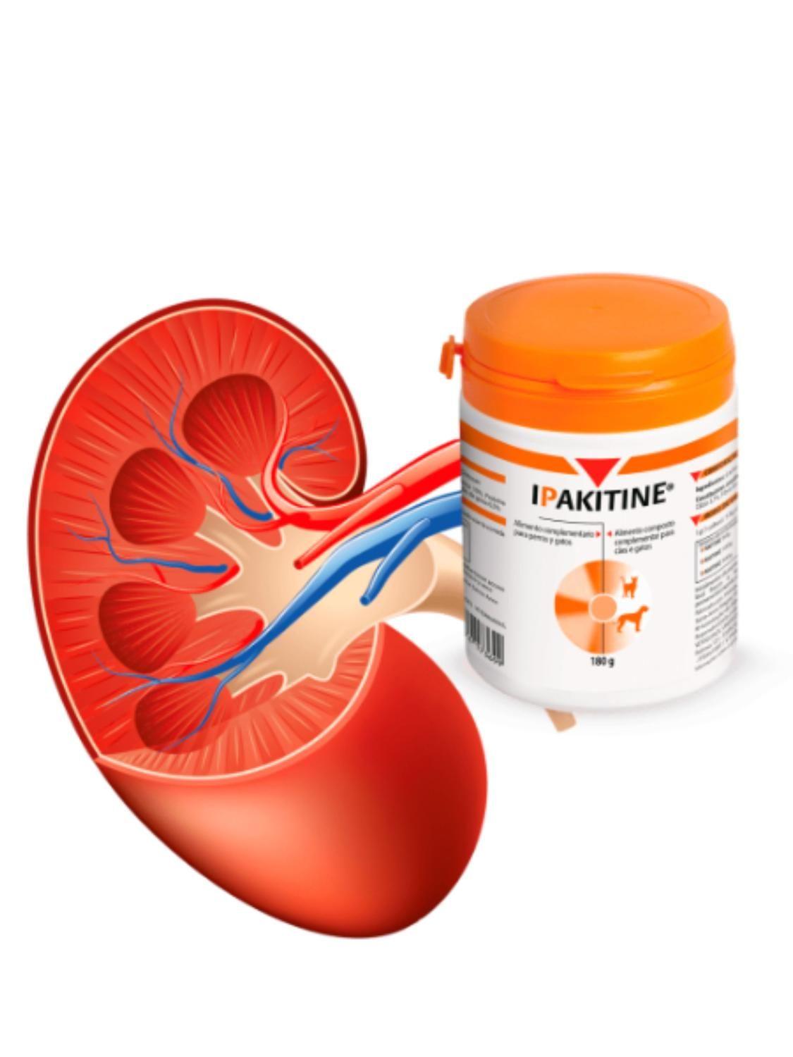 Ipakitine 180 g Perros y Gatos | Apoyo Renal Crónico-3