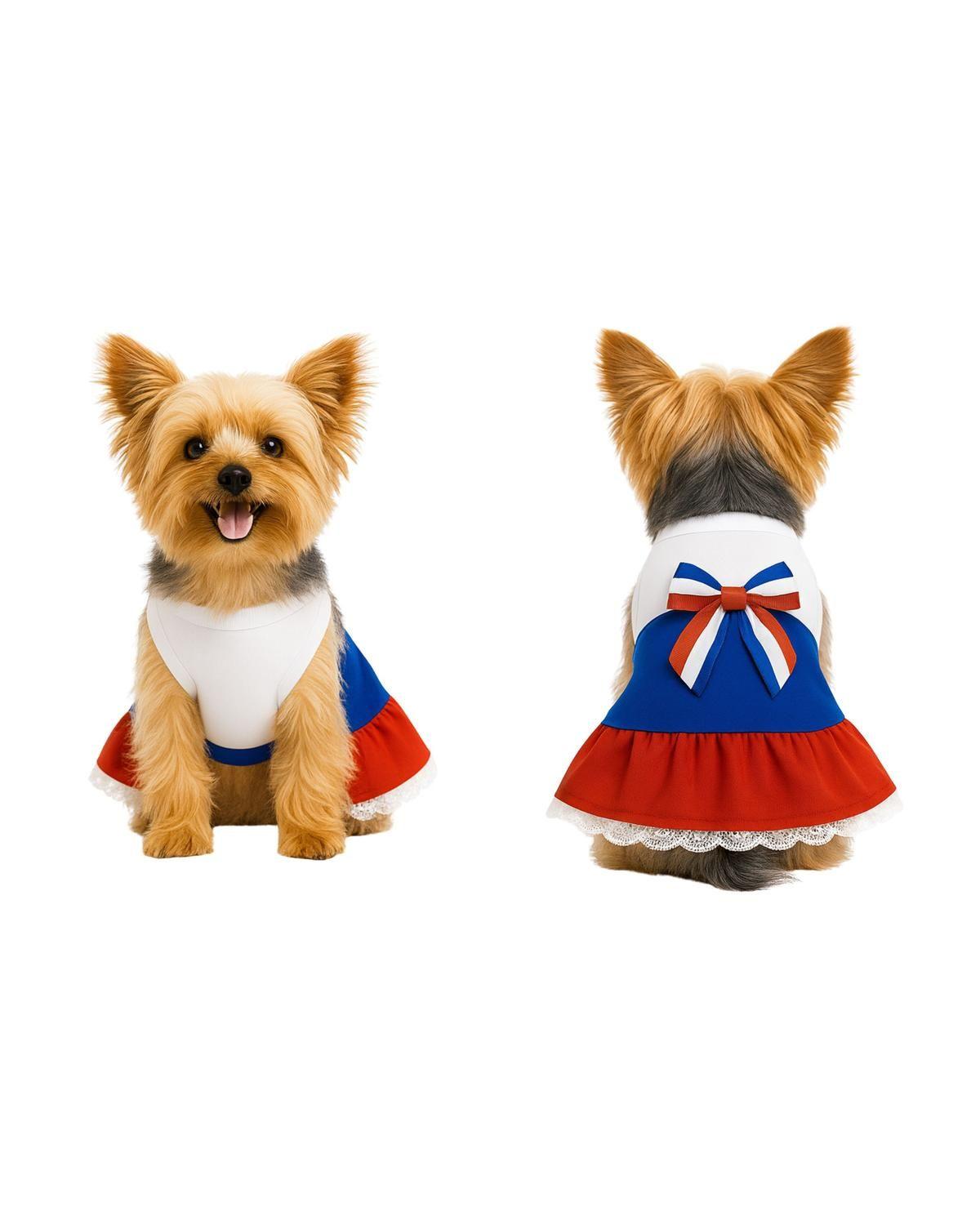 Vestido Huasa para Perro Talla XXS | Fiestas Patrias-3