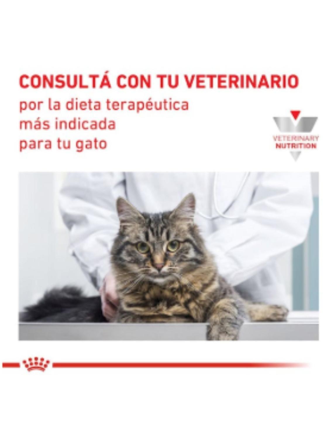 Royal Canin pouch Gastrointestinal Gato 85g (12 unidades)-3
