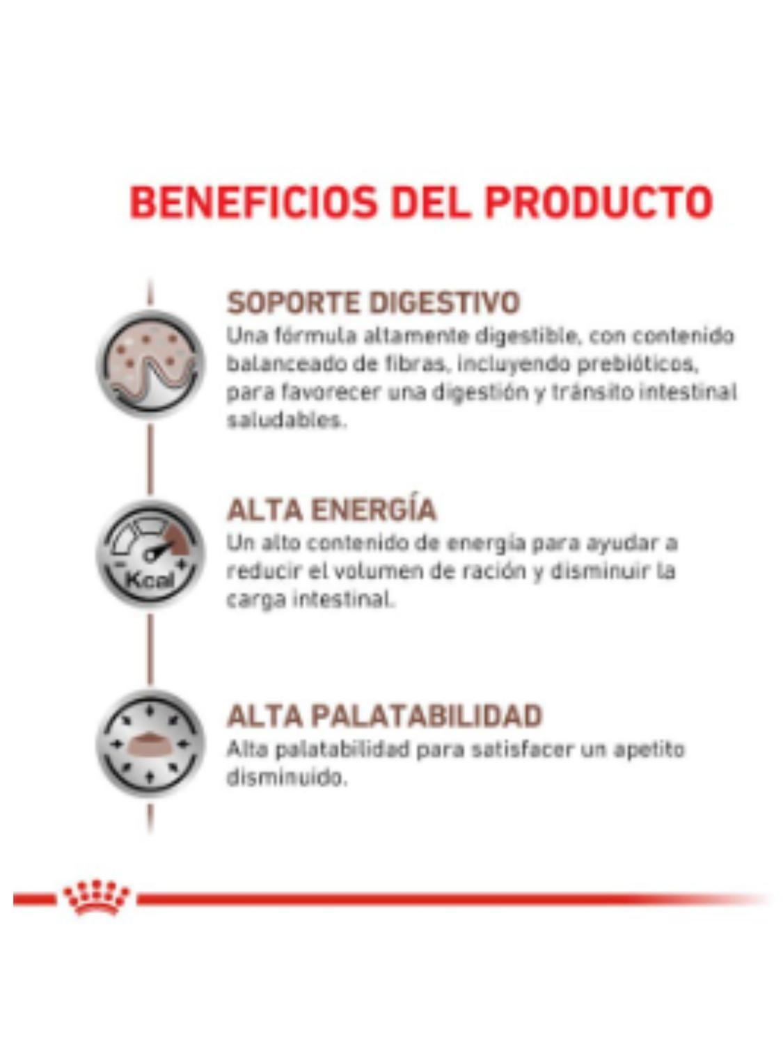 Royal Canin pouch Gastrointestinal Gato 85g (12 unidades)-4