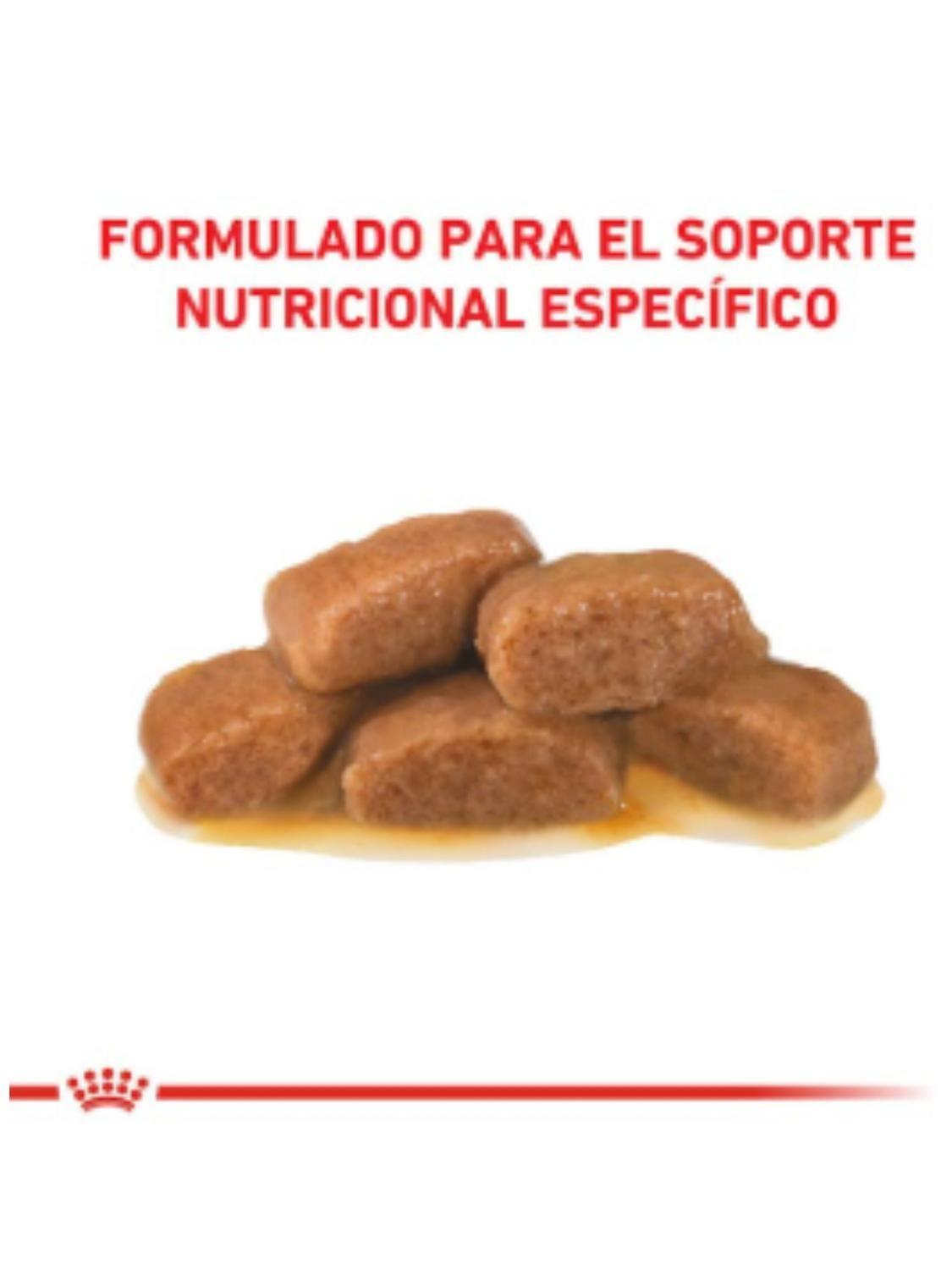 Royal Canin pouch Gastrointestinal Gato 85g (12 unidades)-5