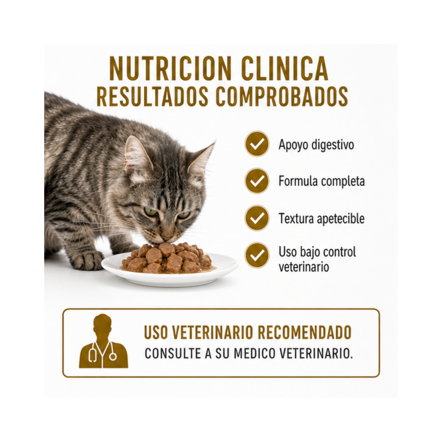 Royal Canin Pouch Gastrointestinal Gato 85g | Pack 12 Sobres-2