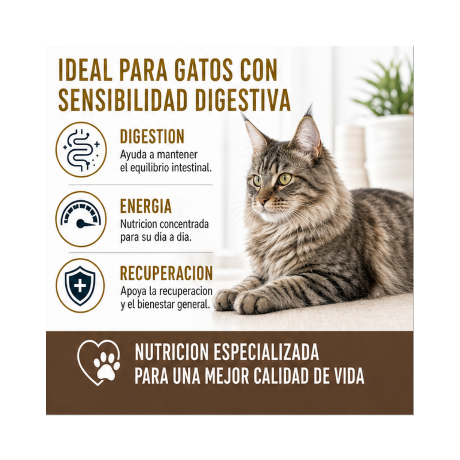 Royal Canin Pouch Gastrointestinal Gato 85g | Pack 12 Sobres-3