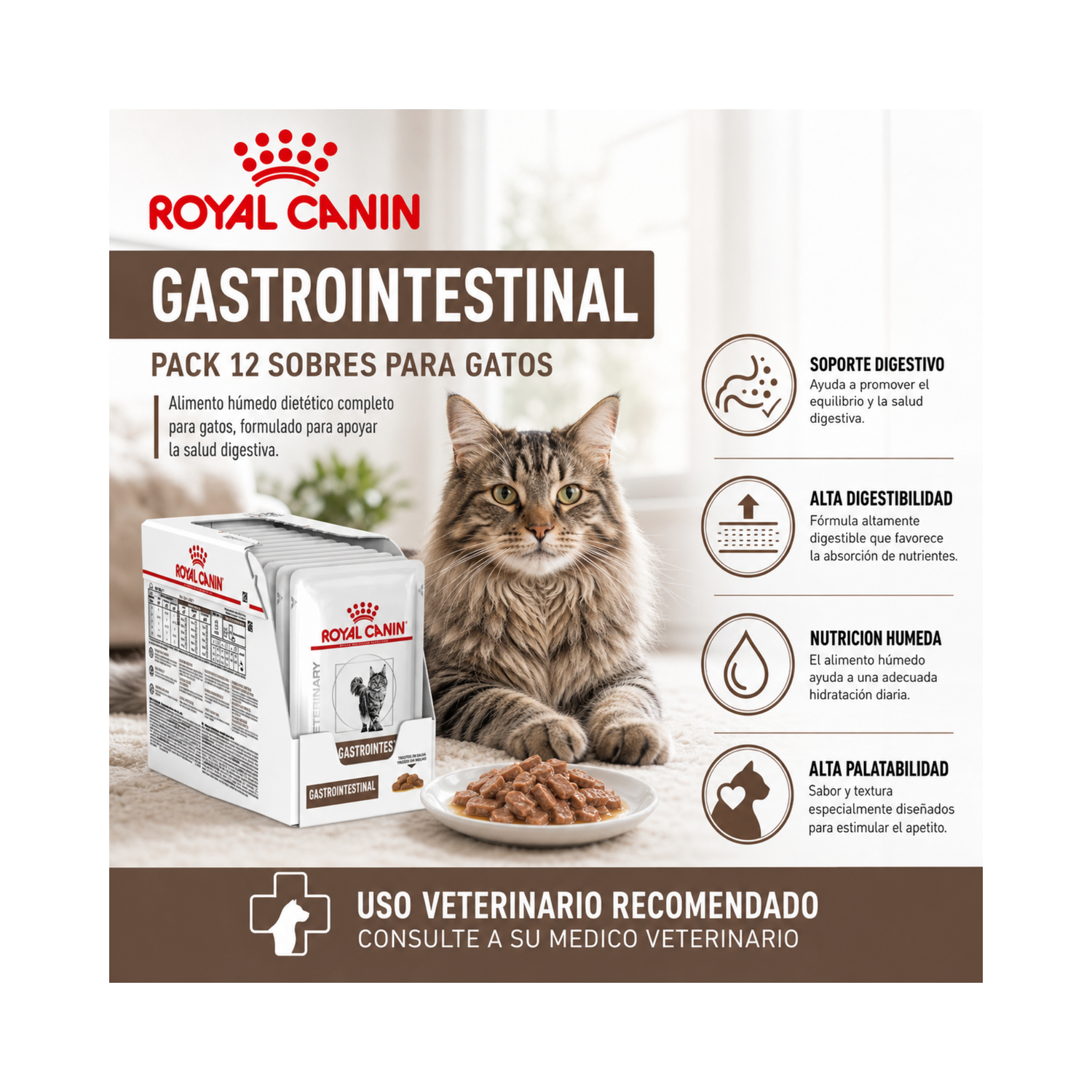 Royal Canin Pouch Gastrointestinal Gato 85g | Pack 12 Sobres-4
