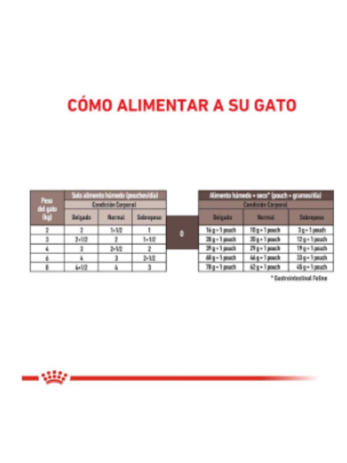 Royal Canin Pouch Gastrointestinal Gato 85g | Pack 12 Sobres-5