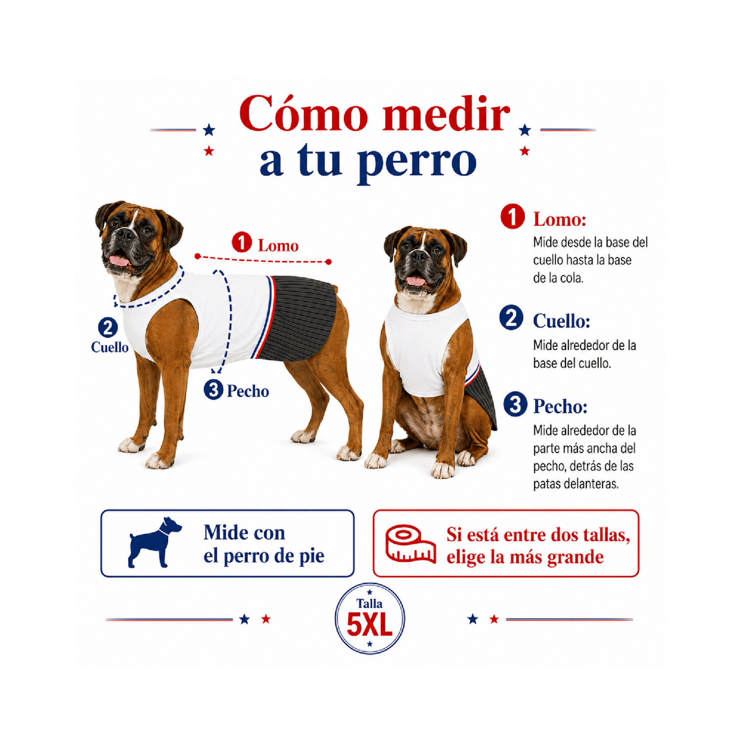 Traje de Huaso Chileno para Perro Talla 5XL-5