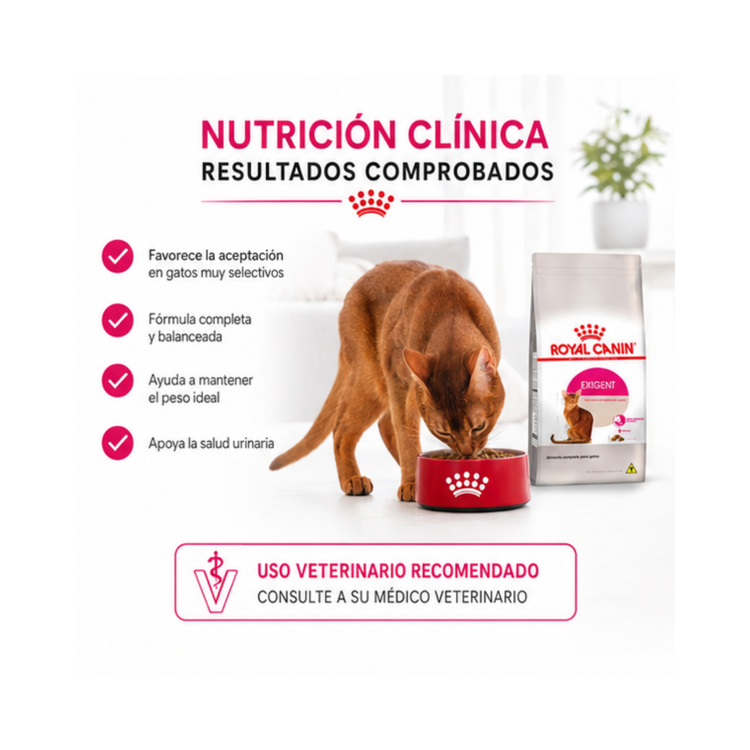 Royal Canin Para Gato Adulto Exigent 1.5 kg-2