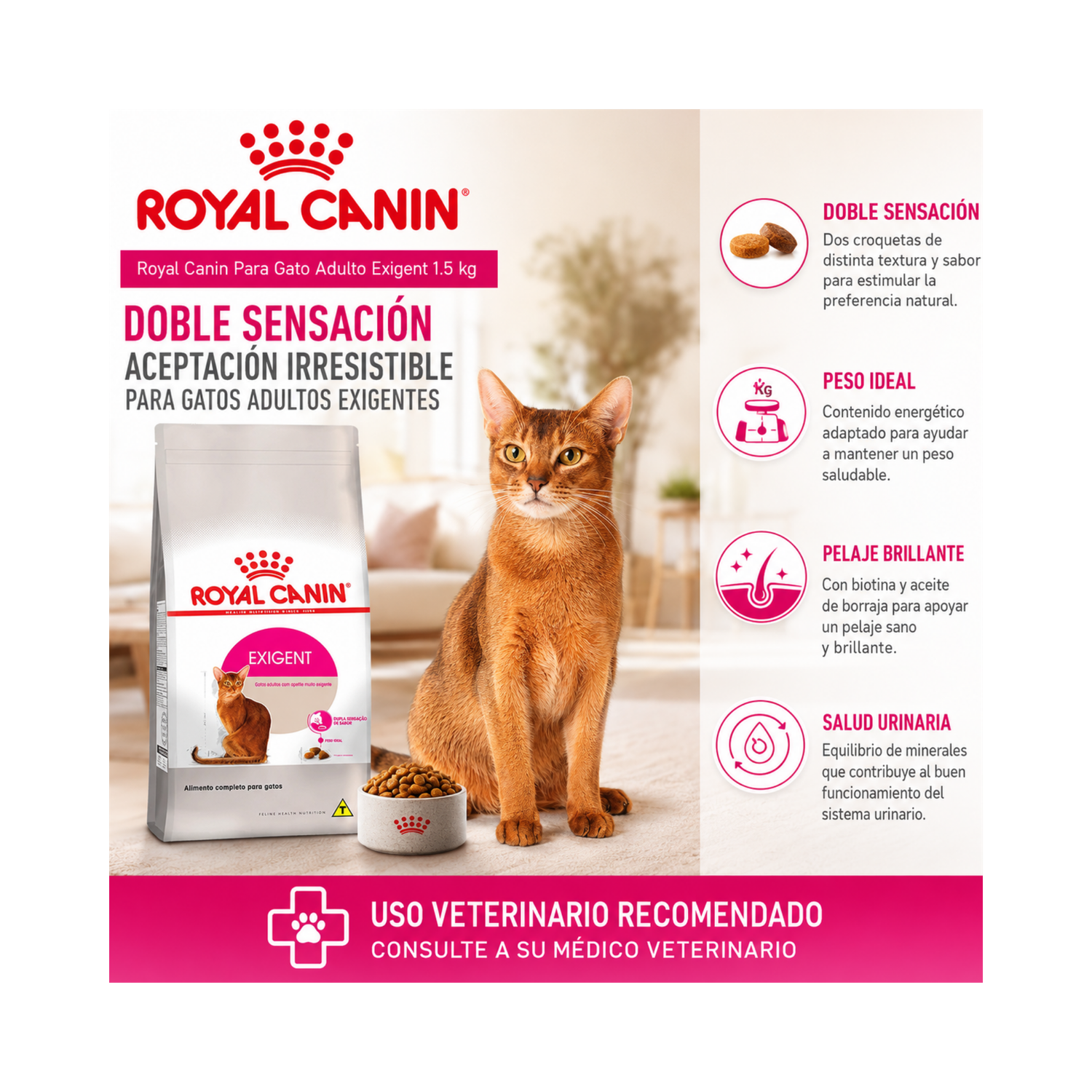 Royal Canin Para Gato Adulto Exigent 1.5 kg-4