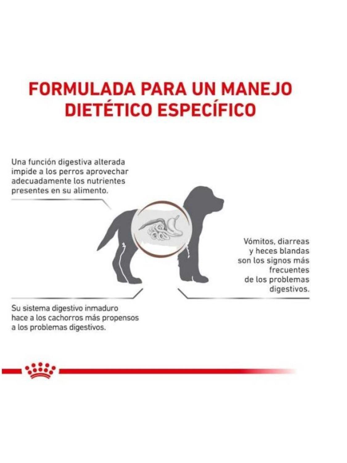 Alimento Royal Canin Gastrointestinal Canine Puppy 1kg-1