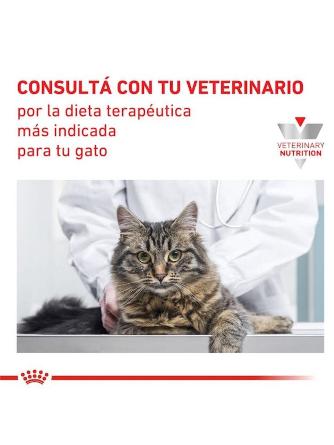 ALIMENTO ROYAL CANIN RENAL EARLY FELINE 1,5KG-4
