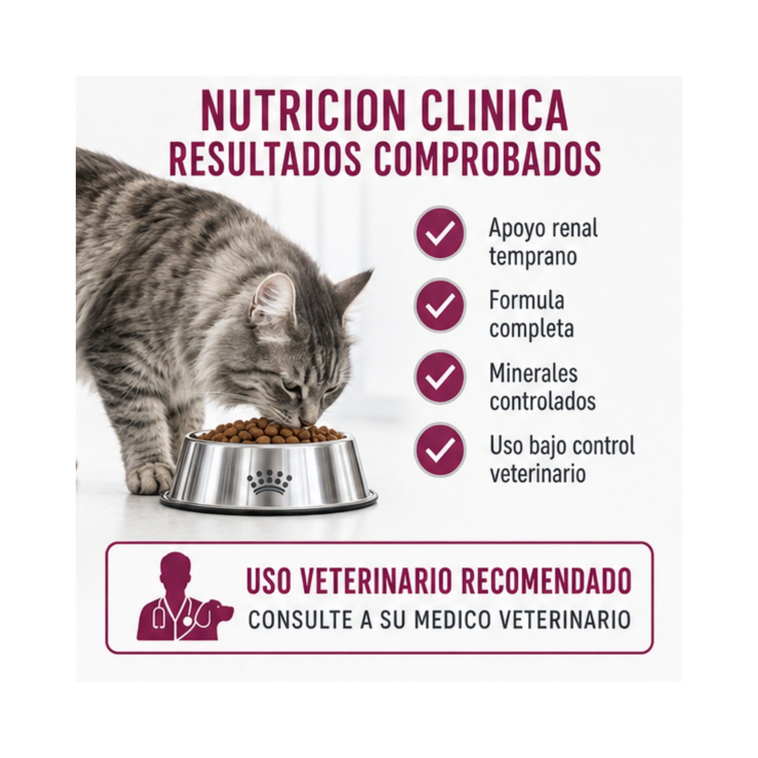 Royal Canin Renal Early Feline 1,5 kg | Apoyo Renal Gatos-3