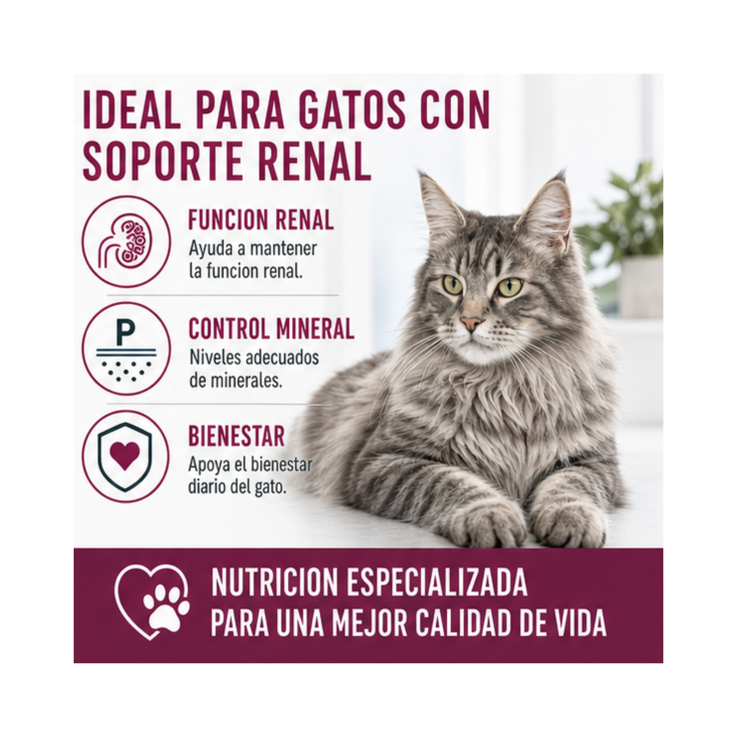 Royal Canin Renal Early Feline 1,5 kg | Apoyo Renal Gatos-4