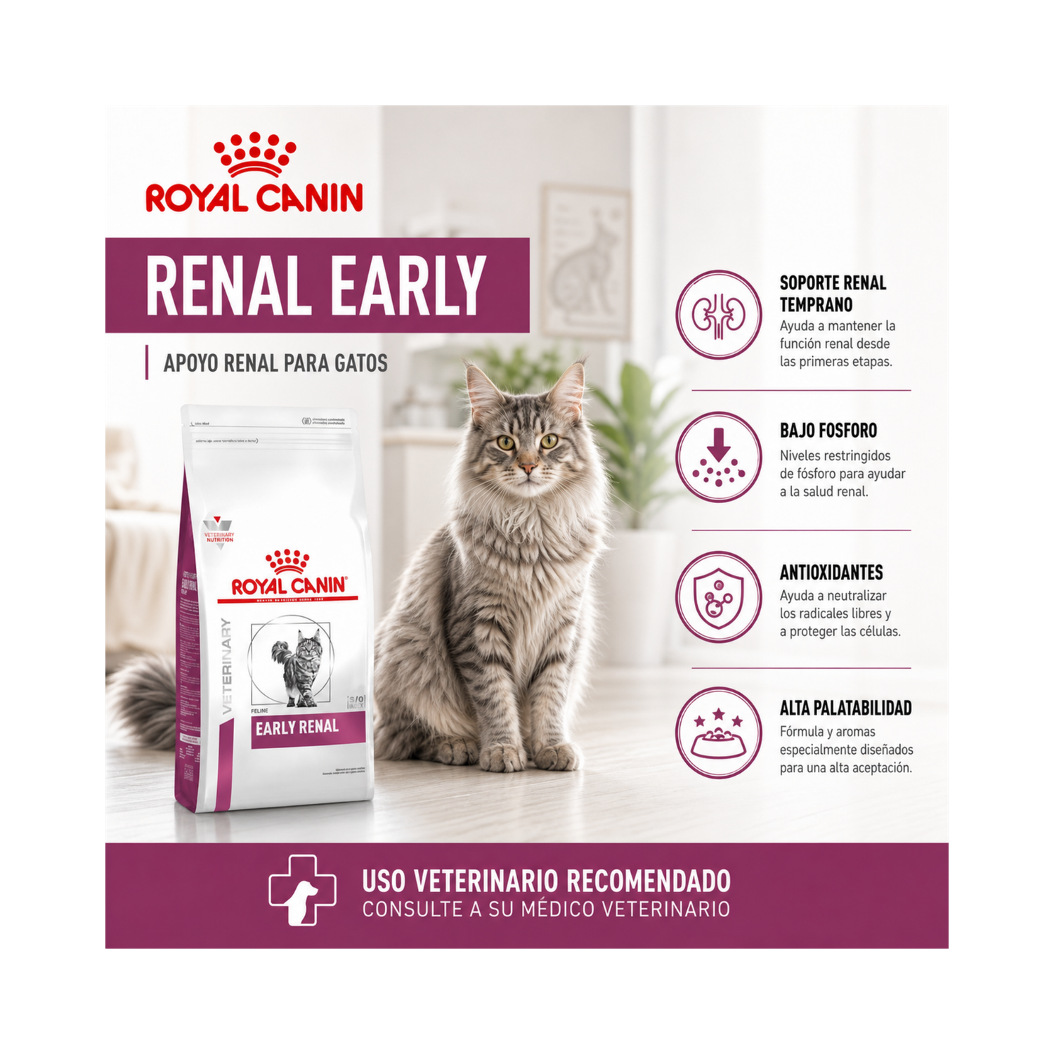 Royal Canin Renal Early Feline 1,5 kg | Apoyo Renal Gatos-5