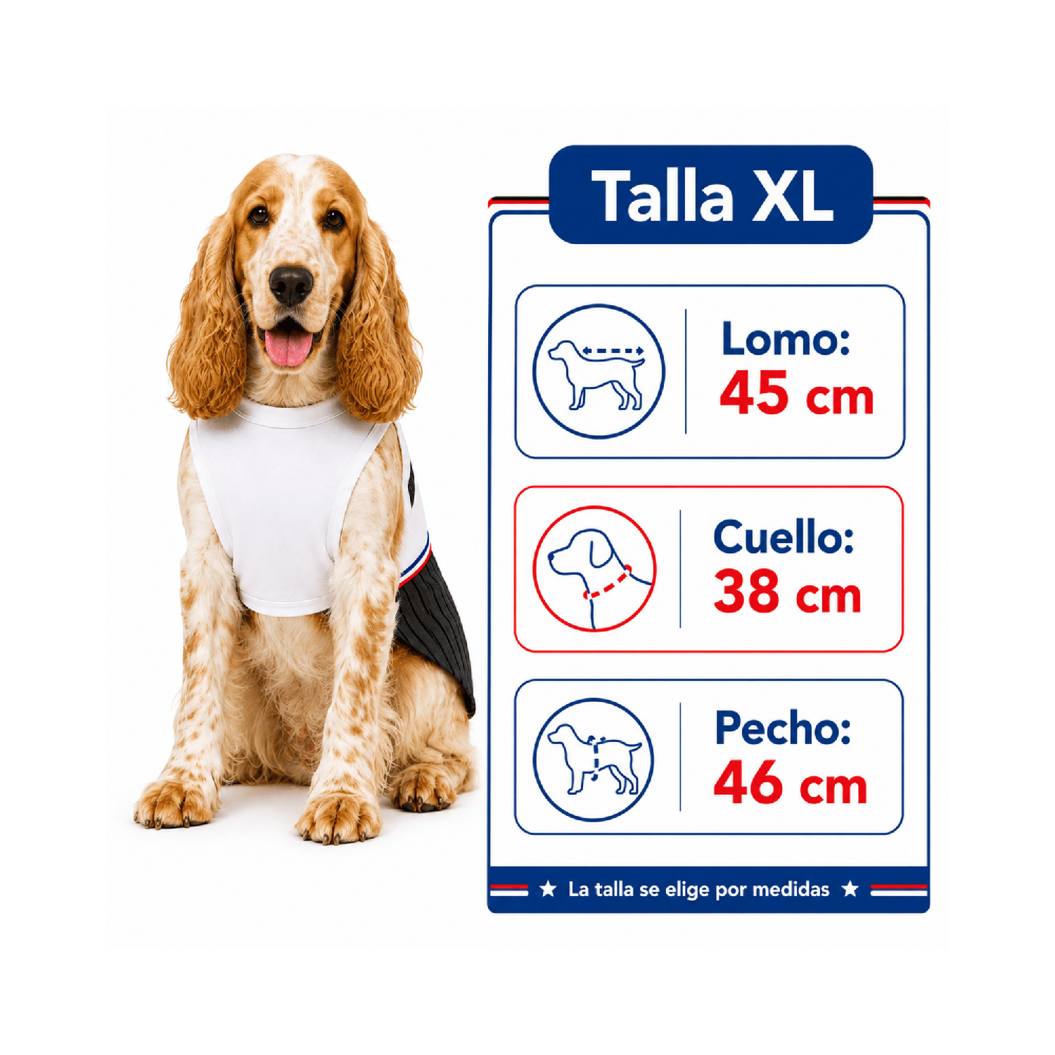 Traje de Huaso Chileno para Perro Talla XL-2