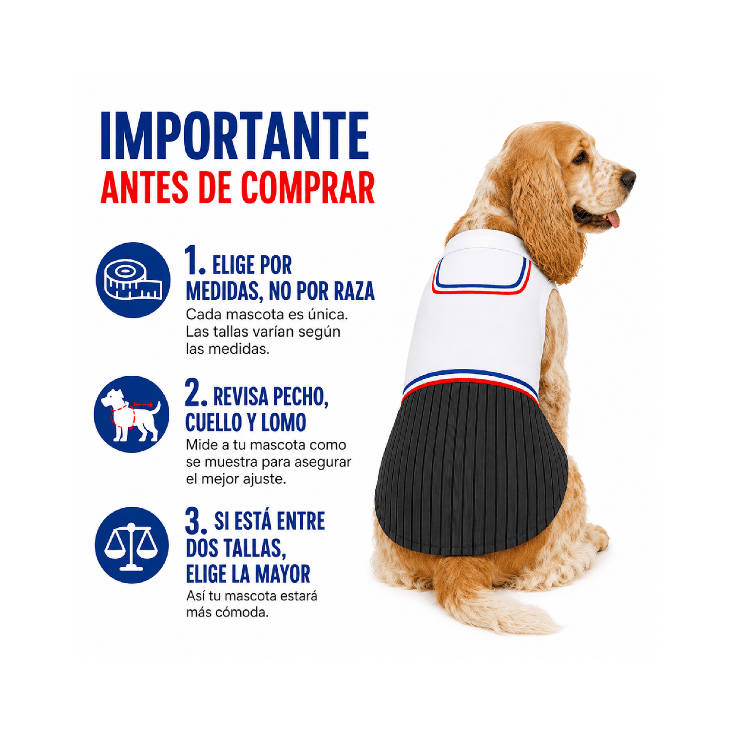 Traje de Huaso Chileno para Perro Talla XL-6
