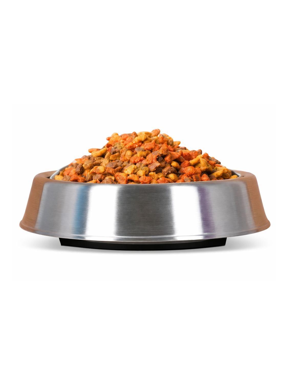 Plato Antihormigas Acero Inoxidable Mascotas XXL 2.7 L-5