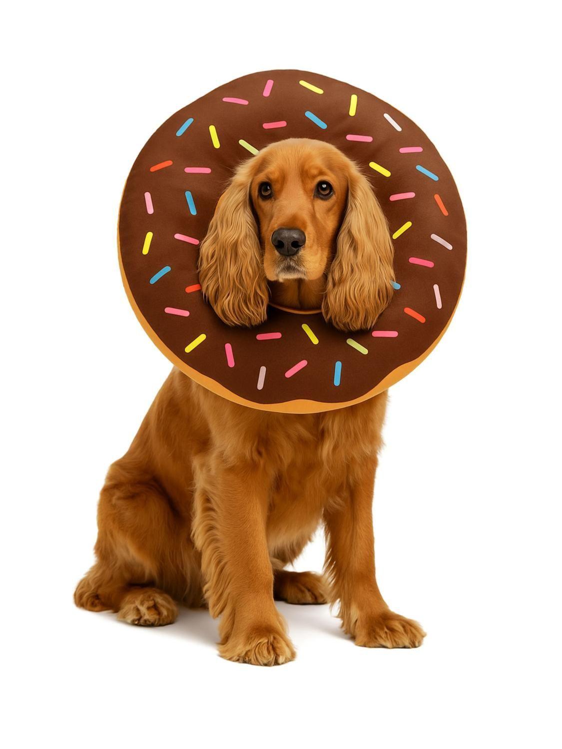 Collar Dona Para Mascotas Anti-lamido Talla L-0